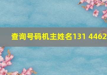 查询号码机主姓名131 4462